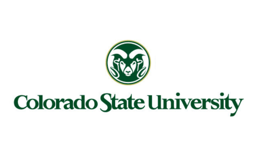 Colorado state university