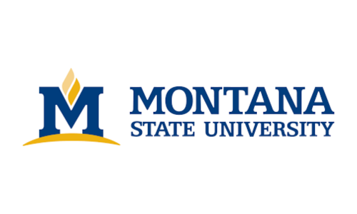 Montana state university